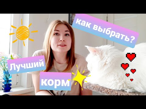 Видео: Лучшие корма для кошек. Чем кормить кота мейн-куна. Холистики?