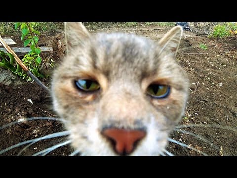 Видео: Проект "Аренда водоёма" 41 (ДР)