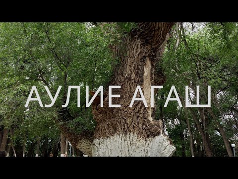 Видео: #3 / Сакральный Казахстан / Святые места / Жаркент/ Аулие Агаш