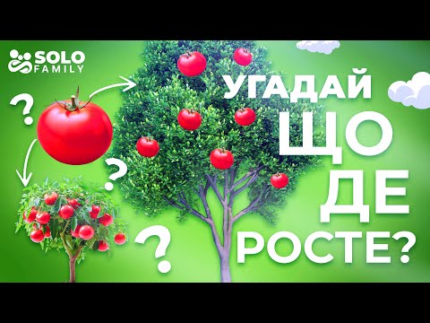 Видео: Що де росте відео для дітей - Овочі та фрукти - Де ростуть овочі - Де ростуть фрукти