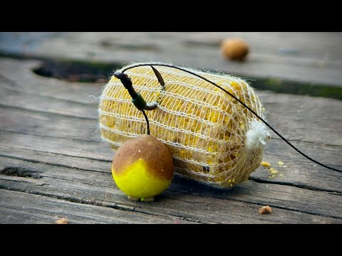 Видео: Ловля коропа в перші холодні дні. Рибалка в перепад погоди. Погоня за трофеєм