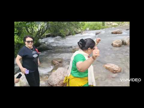 Видео: А класы 40-жылдық кездесу табиғат айясында