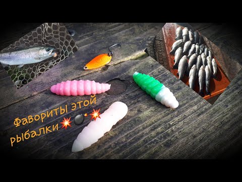 Видео: Рыбалка на платнике в Германии. Удачная рыбалка. Forellenangeln. Zievericher Mühle. Spoon Angeln.