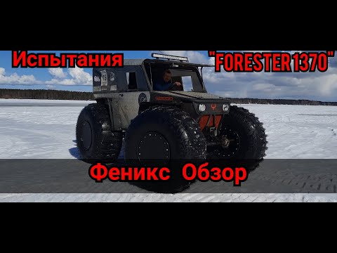 Видео: #ОбзорФениксаИспытания Часть1