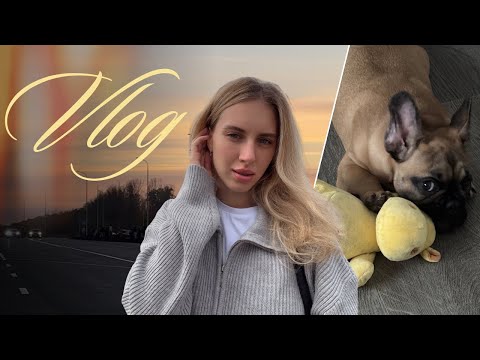 Видео: VLOG/ поздравляем с днём рождения/ пополнение в семье/ первые дни с щенком 