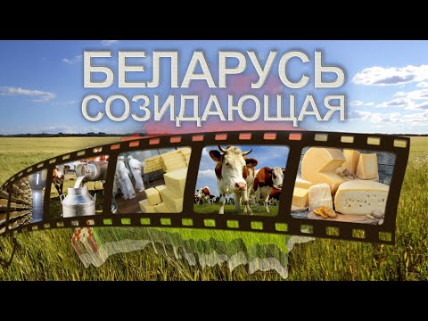 Видео: Производство сыра | Белорусская молочка | Тонкости сыроделия. Беларусь созидающая