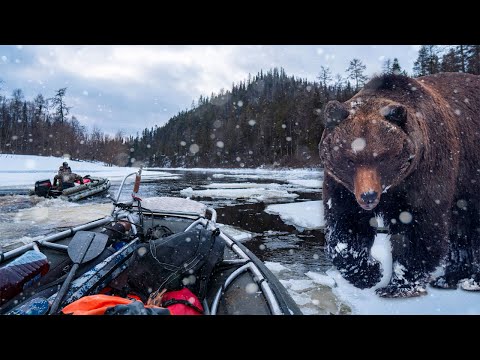 Видео: ПО РЕКАМ АРХАНГЕЛЬСКОЙ ОБЛАСТИ Ч.1 | МЕДВЕДЬ ЗАДРАЛ ЛОСЯ | УТОПИЛИ ДРОН