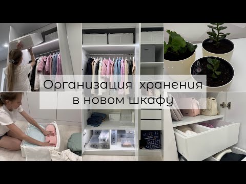 Видео: Организация хранения в НОВОМ шкафу. Посадила цветы🪴