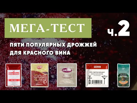 Видео: Мега-тест 5 популярных винных дрожжей для красного вина. Часть 2