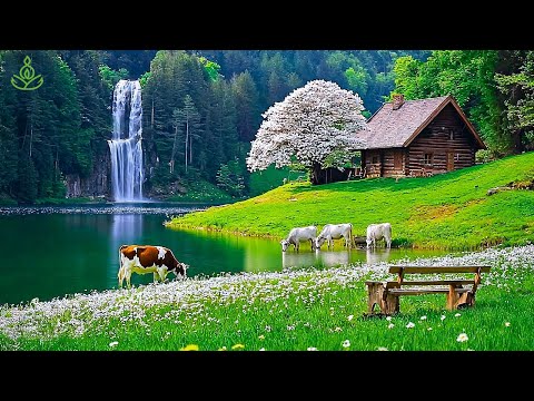 Видео: Успокаивающая музыка для нервов 🌿 Лечебная музыка для сердца и сосудов, расслабление #3