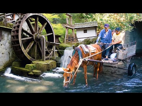 Видео: Сельская жизнь АЗЕРБАЙДЖАНА - ЧУДЕСНЫЙ вкусный день бабушки и дедушки