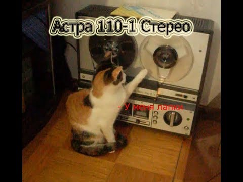 Видео: Астра 110-1 Стерео