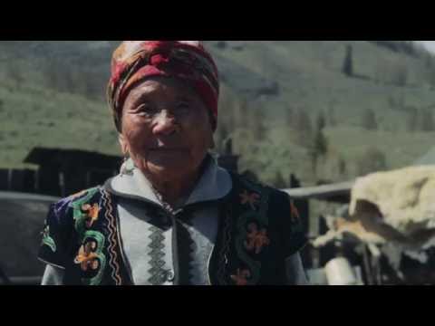 Видео: Древо жизни (Год семьи 2016 в респ.Алтай)