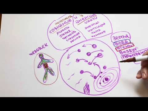 Видео: Сознание и энергия / Шива и Шакти