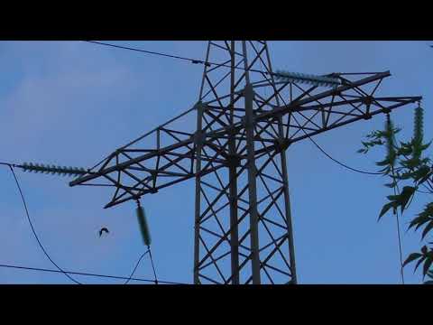 Видео: Крюга 300 настройка + бонус