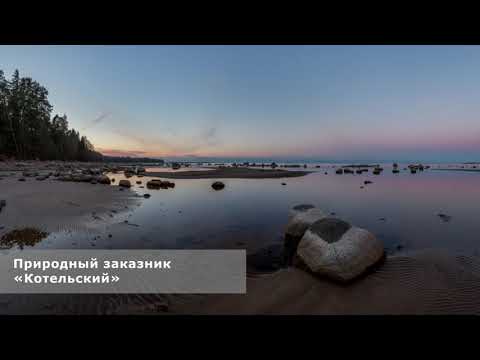 Видео: 04. У щита «Река Пейпия»