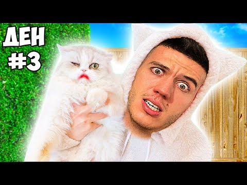 Видео: ОТ РАЖДАНЕ ДО СМЪРТ ЗА 24 ЧАСА, НО СЪМ KOTKA | ЕПИЗОД 1 | CAT LIFE SIMULATOR