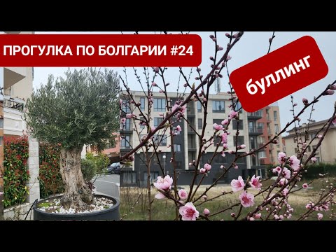 Видео: КВАРТАЛ ЧЕРНО МОРЕ | ПРОГУЛКА ПО БОЛГАРИИ #24 | БУЛЛИНГ В ШКОЛЕ