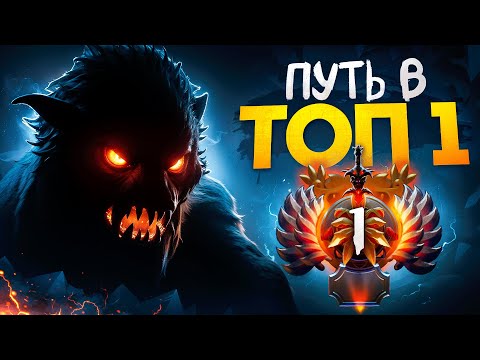 Видео: ПУТЬ В ТОП 1 - НОВАЯ СИГНАТУРКА