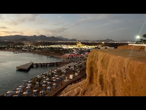 Видео: ДОРОГА НА ПЛЯЖ ALBATROS AQUA PARK 5 💫/ ЯНВАРЬ 2024 🦀🌊