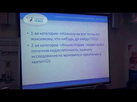 Видео: Лабораторные тесты  Ошибки при проведении и интерпретации