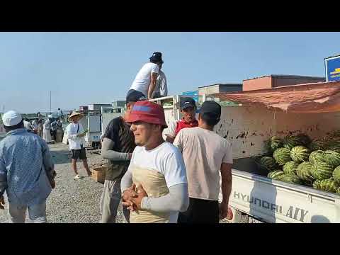 Видео: Кыргызстан Г Ош 🍉