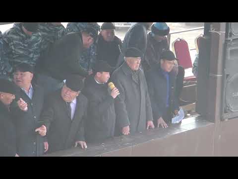 Видео: Ордабасы ауданы Алтын күз көкпары 23,11,2021