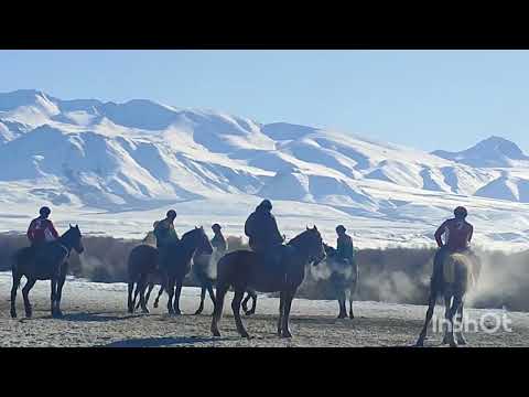 Видео: 29 января 2025 г.