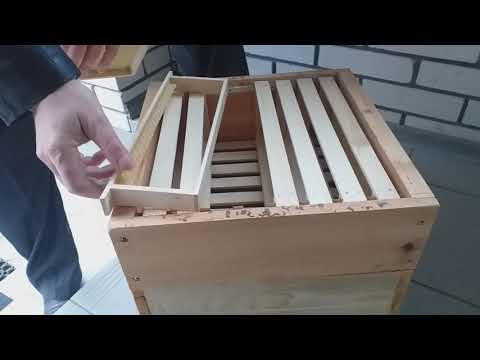 Видео: Альпійський вулик. Де купити чи замовити вулики