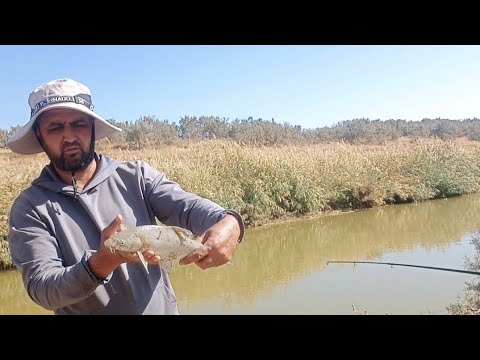 Видео: Мутни канал