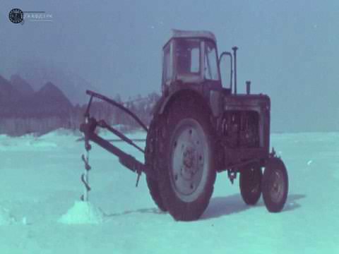 Видео: Боровое, Бурабай, Щучинск, Золотой бор, 1969 год