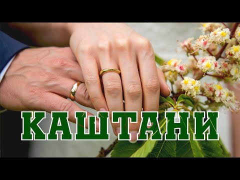 Видео: Каштани (Ми зустрілись навесні) - LuckyUAMusic
