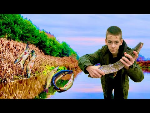 Видео: Рыбалка на моторной лодке! Один день из жизни за городом.