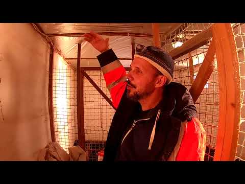 Видео: Коптим, куры, овцы, индюки