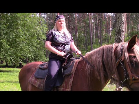 Видео: BMW R1100RT мотопутешествие 2020 Белокуриха