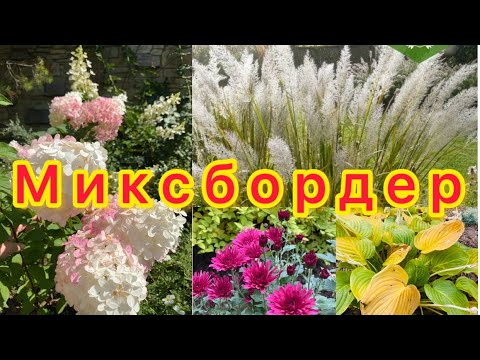 Видео: миксбордер-подбор растений и их расположение в самом большом  моём цветнике