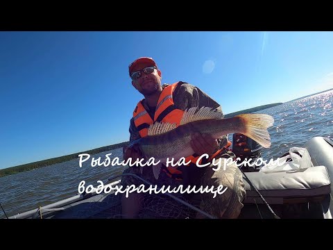 Видео: Рыбалка на Сурском море. Разведка боем и трофейный судак!