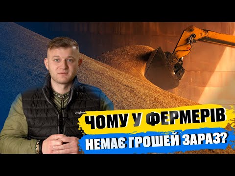 Видео: ФЕРМЕРИ НЕ МОЖУТЬ ЗДАТИ ЗЕРНО. ЧОМУ? #АгроЕкономіка