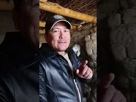 Видео: 15 октября 2025 г.