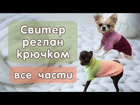 Видео: Как связать свитер крючком для собак и кошек, все части