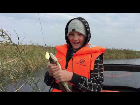 Видео: Рыбалка на щуку. О-ва Зеленцы. Ладога. Рыбалка на память.