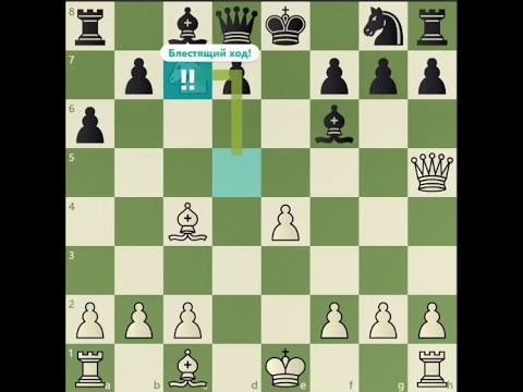 Видео: Визуальный анализ шахматных партий, как на чесс ком, но бесплатно
