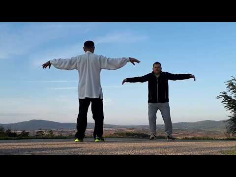 Видео: Ицзиньцзин (учебное видео)