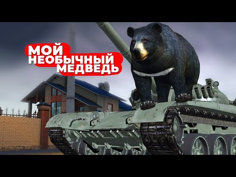 Видео: ТАК СКАЗАТЬ, НЕОБЫЧНЫЙ МЕДВЕДЬ - СЛАДКИЕ #12