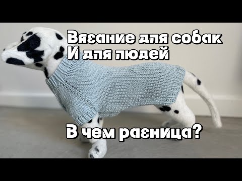 Видео: Вязание для собак и для людей - в чем разница? 