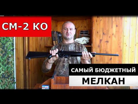 Видео: СМ-2КО. Самая бюджетная мелкашка и самый честный обзор!