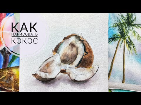 Видео: Рисуем кокос акварелью. Рисование для начинающих. Watercolour painting tutorial.