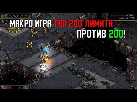Видео: Старкрафт T VS P NaDa и в 40 лет показывает мастерство макро игры!