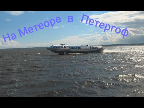 Видео: На метеоре в Петергоф🛥