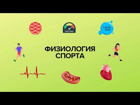 Видео: ТАЙНЫ ТВОЕГО ТЕЛА: как митохондрии, VO₂ Max, лактат, структура мышц, пульс Взаимосвязаны!